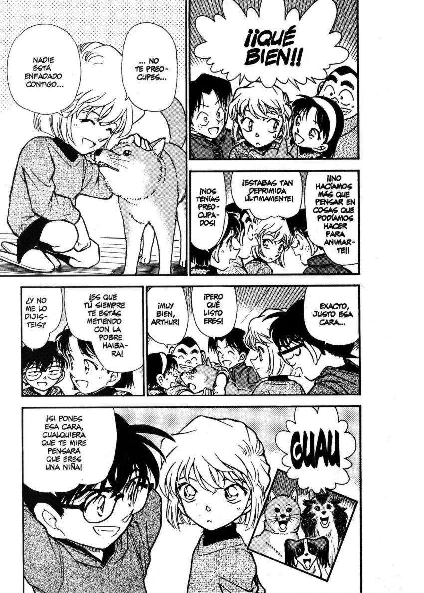 Detective Conan Capítulo 292 - Página 18 en español