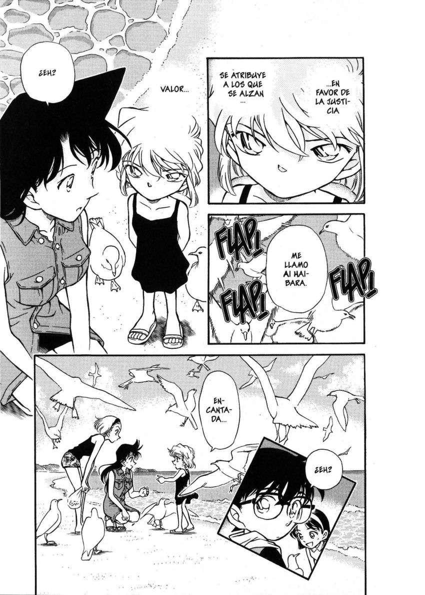 Detective Conan Capítulo 313 - Página 18 en español