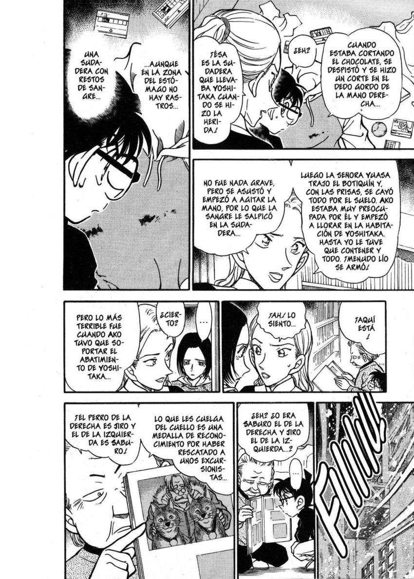 Detective Conan Capítulo 333 - Página 11 en español