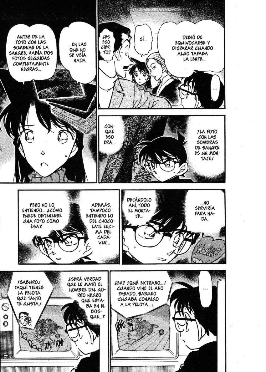 Detective Conan Capítulo 333 - Página 8 en español