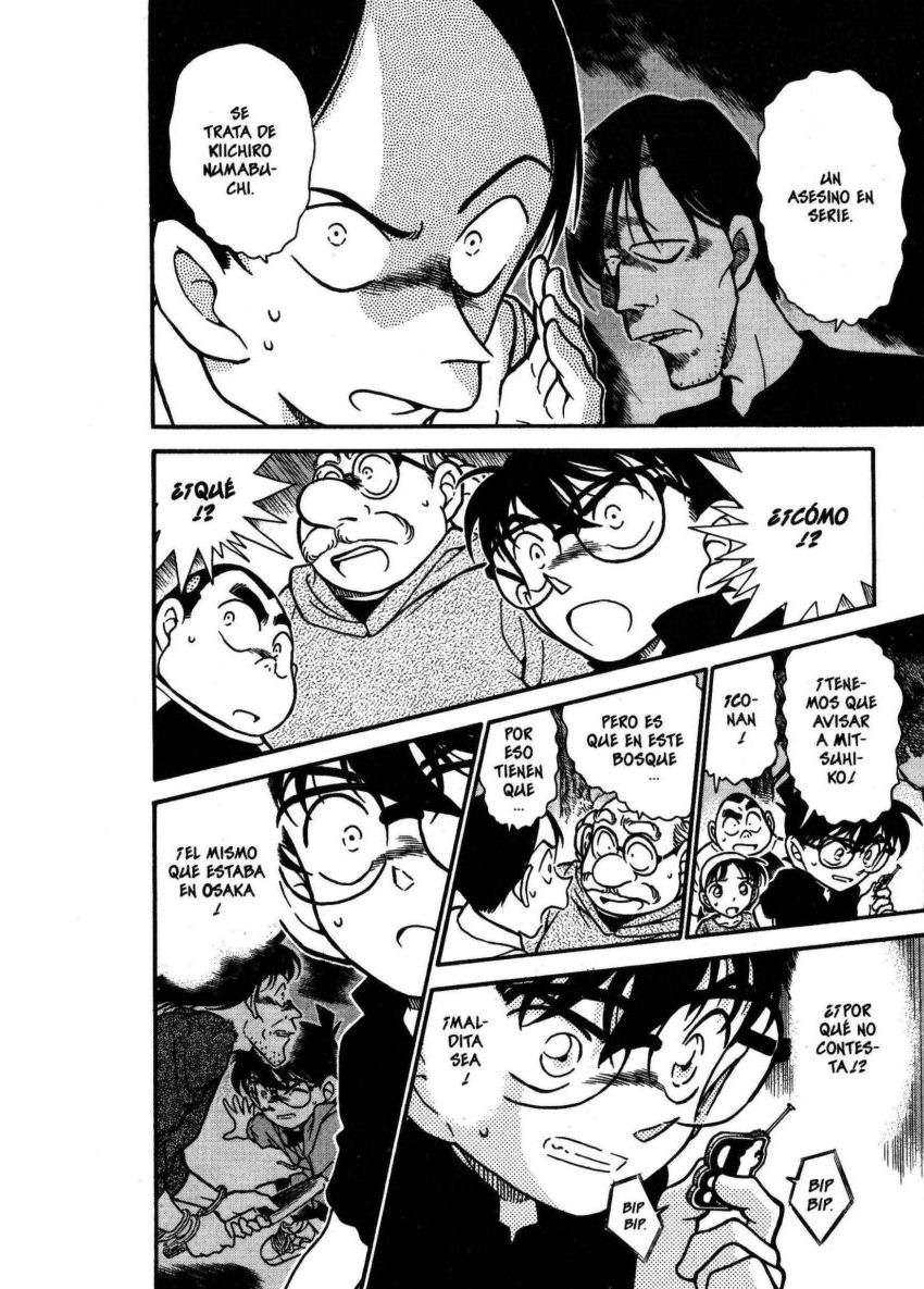 Detective Conan Capítulo 358 - Página 17 en español