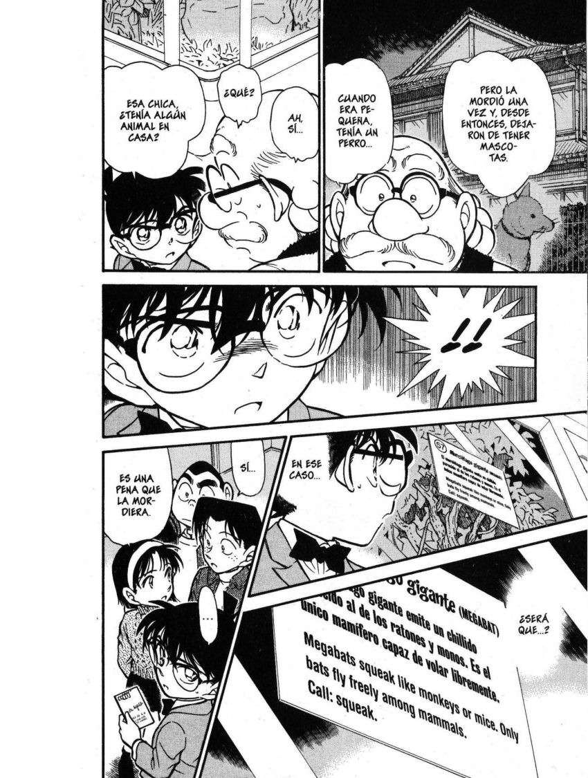 Detective Conan Capítulo 411 - Página 15 en español