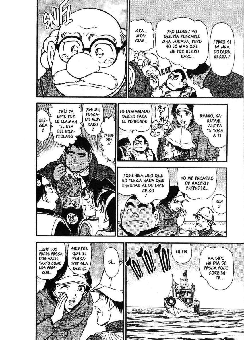 Detective Conan Capítulo 462 - Página 17 en español