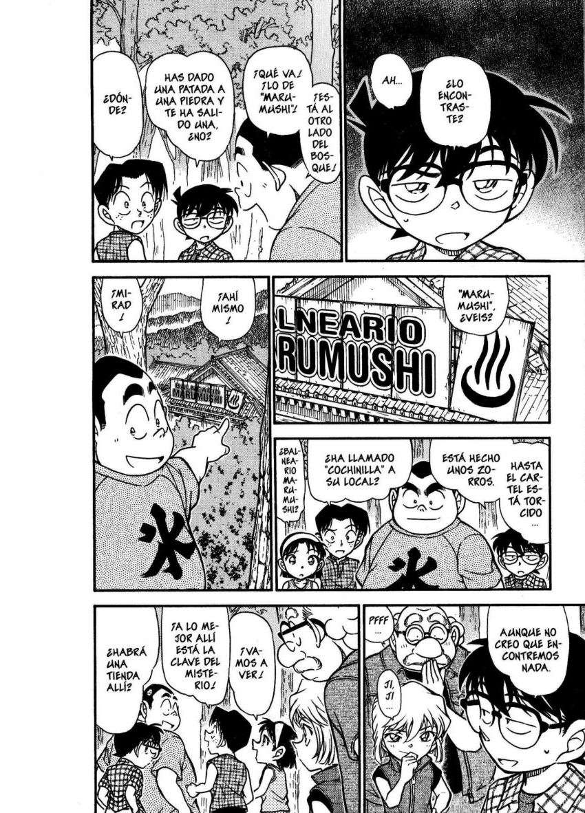 Detective Conan Capítulo 491 - Página 13 en español