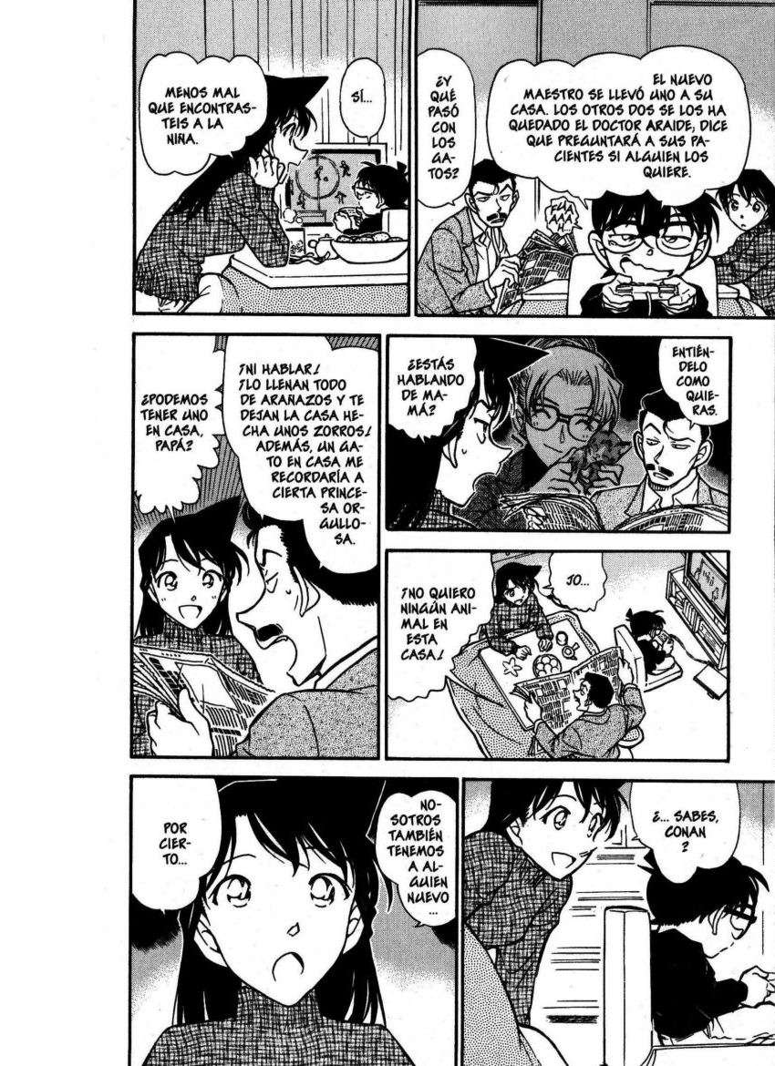 Detective Conan Capítulo 507 - Página 17 en español