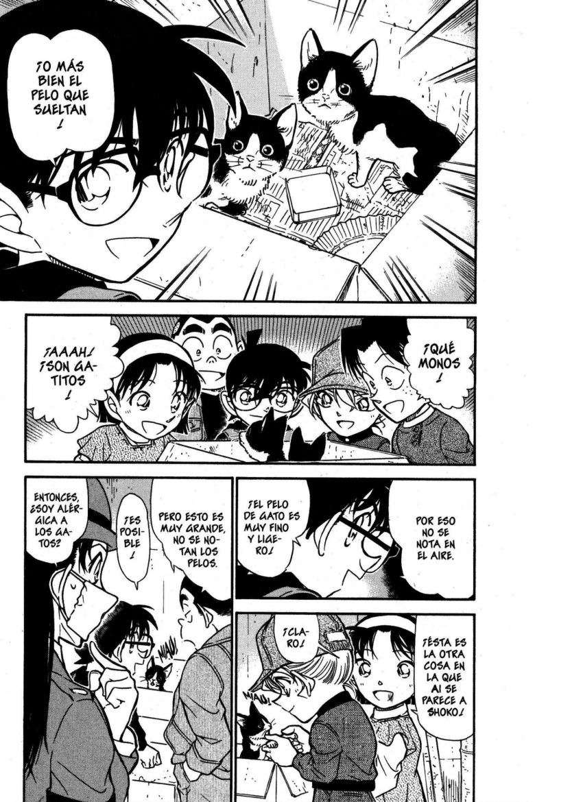 Detective Conan Capítulo 507 - Página 6 en español