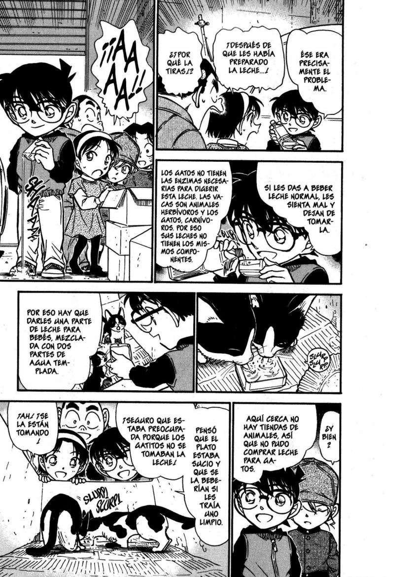 Detective Conan Capítulo 507 - Página 8 en español