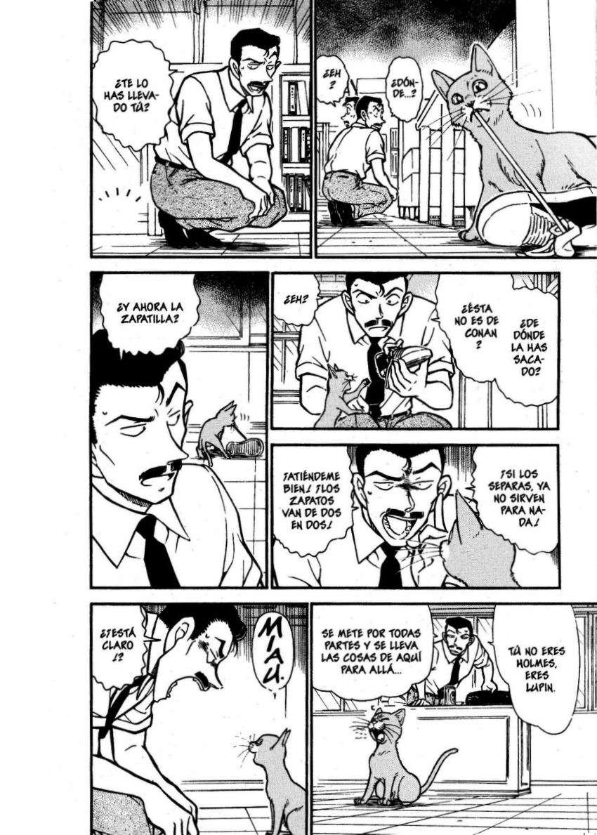 Detective Conan Capítulo 528 - Página 13 en español