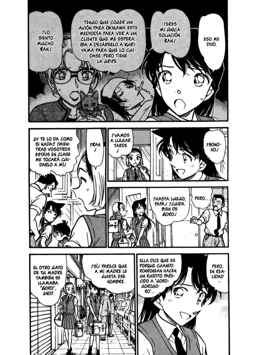 Detective Conan Capítulo 528 - Página 5 en español