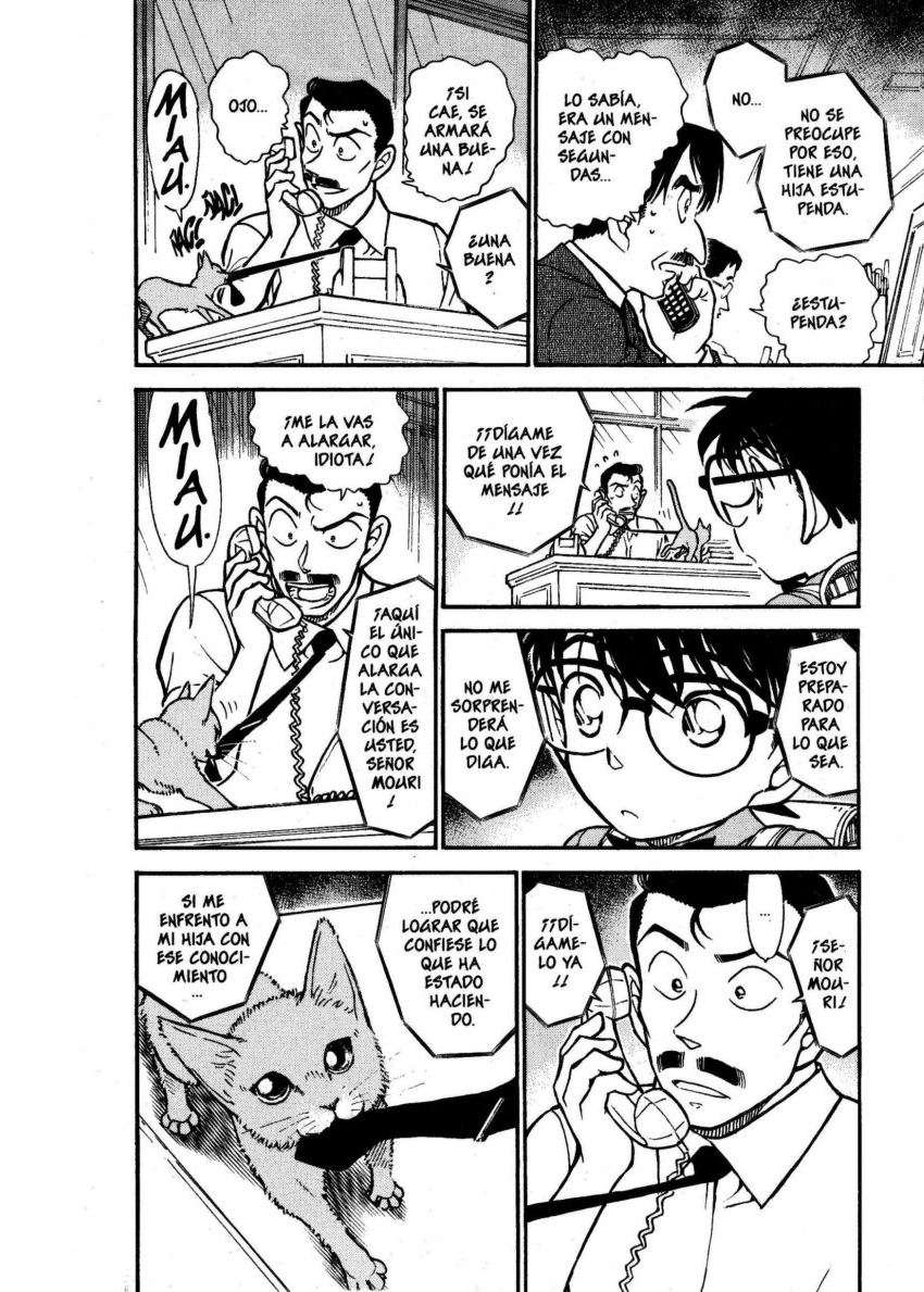 Detective Conan Capítulo 529 - Página 13 en español