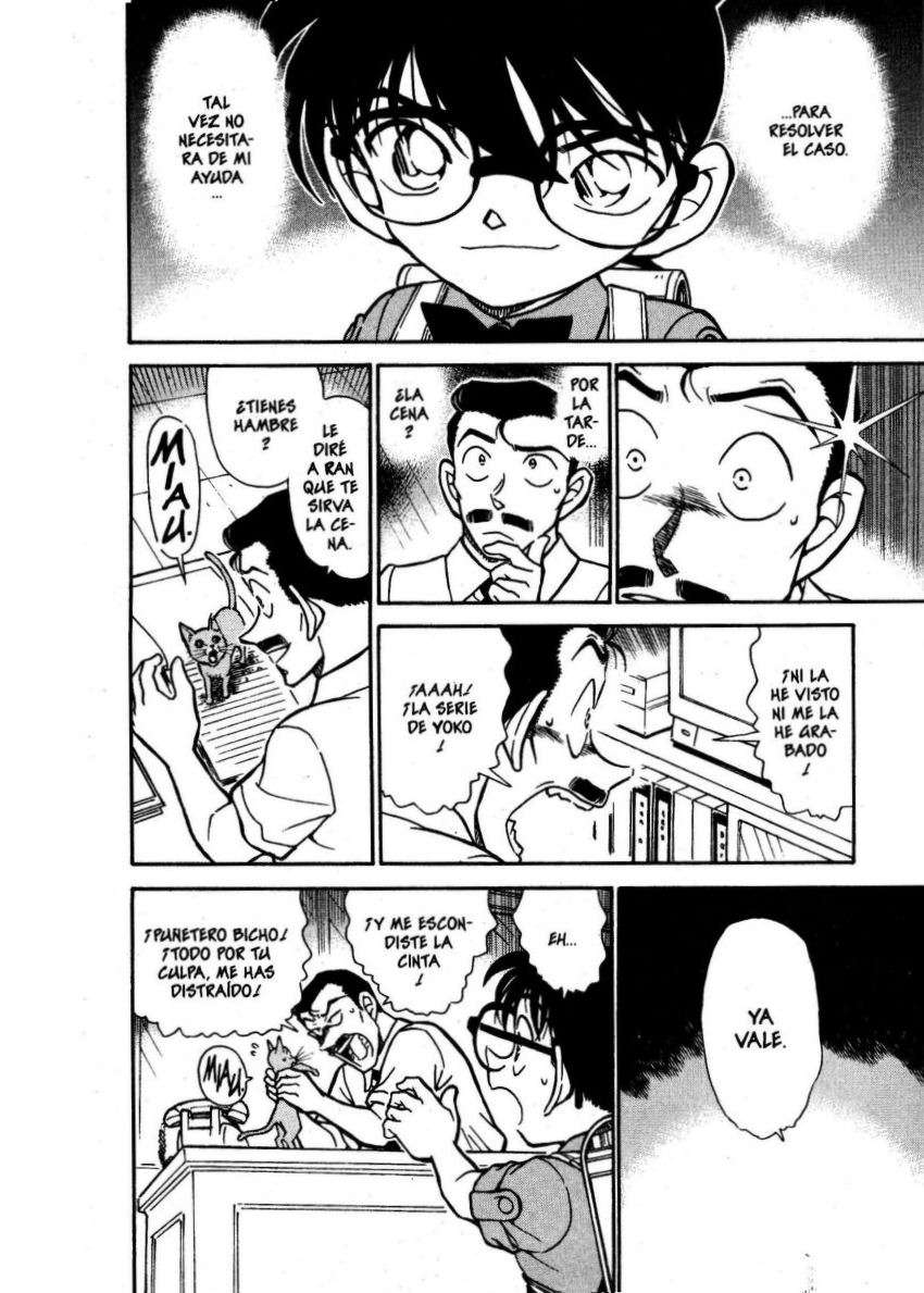Detective Conan Capítulo 529 - Página 15 en español