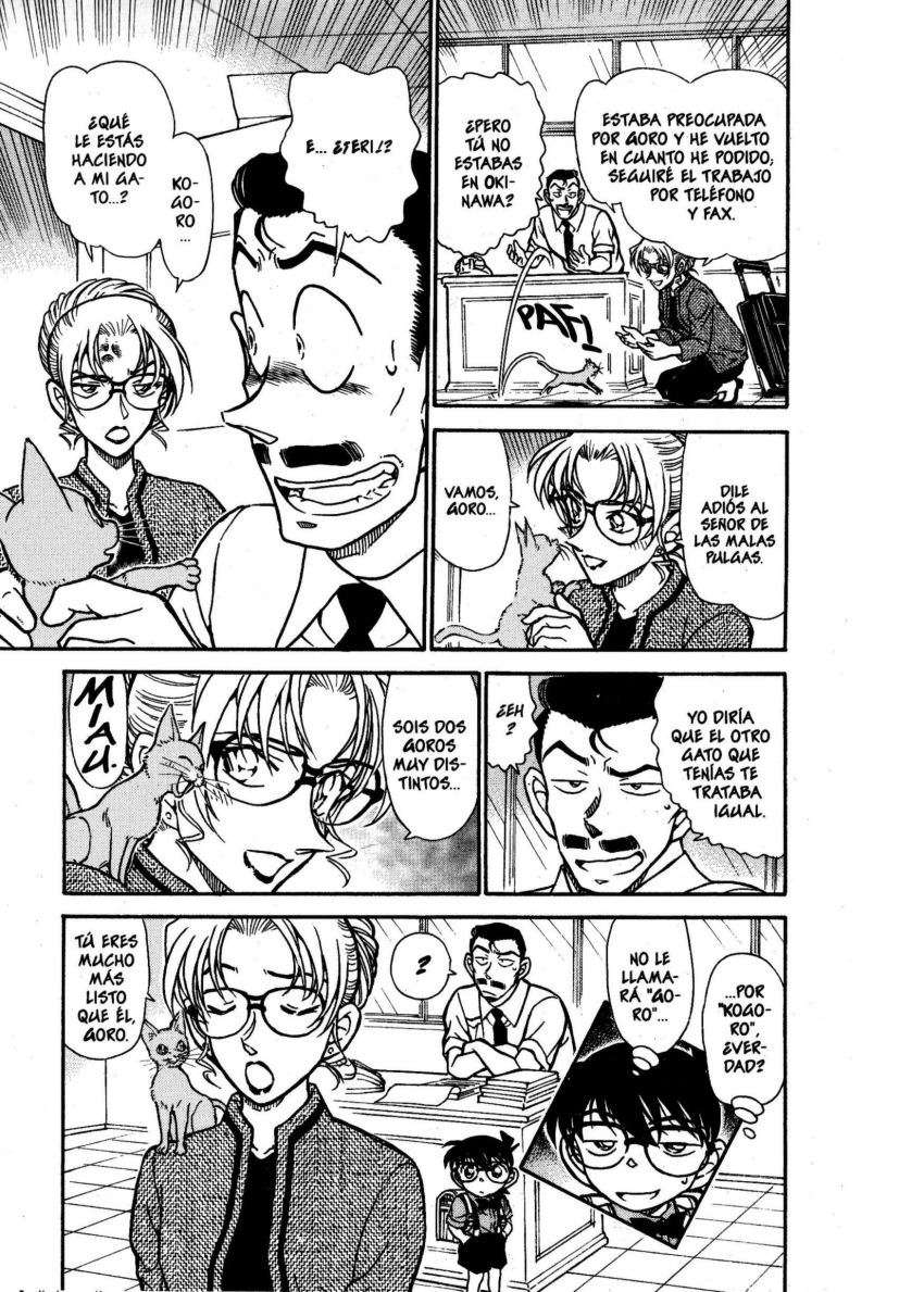 Detective Conan Capítulo 529 - Página 16 en español