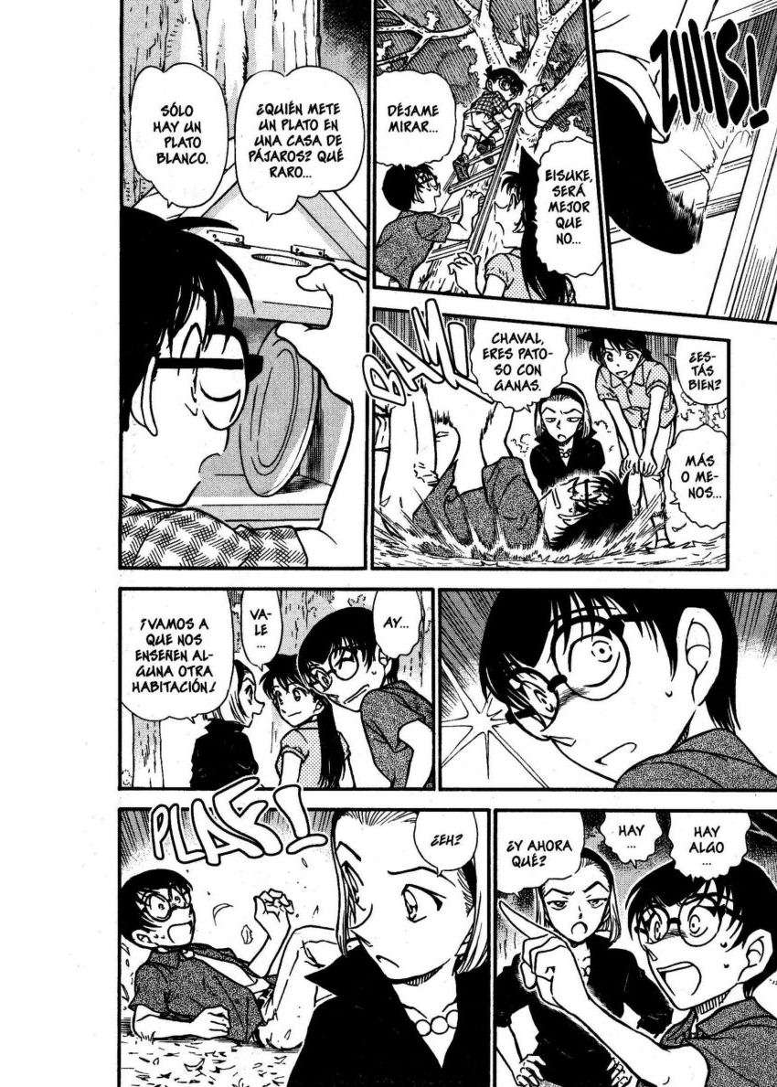 Detective Conan Capítulo 530 - Página 13 en español