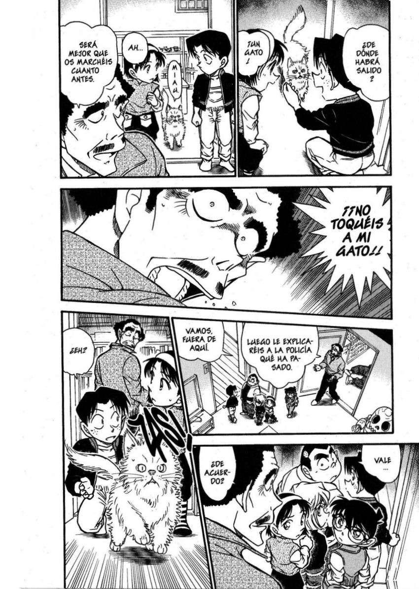 Detective Conan Capítulo 539 - Página 5 en español