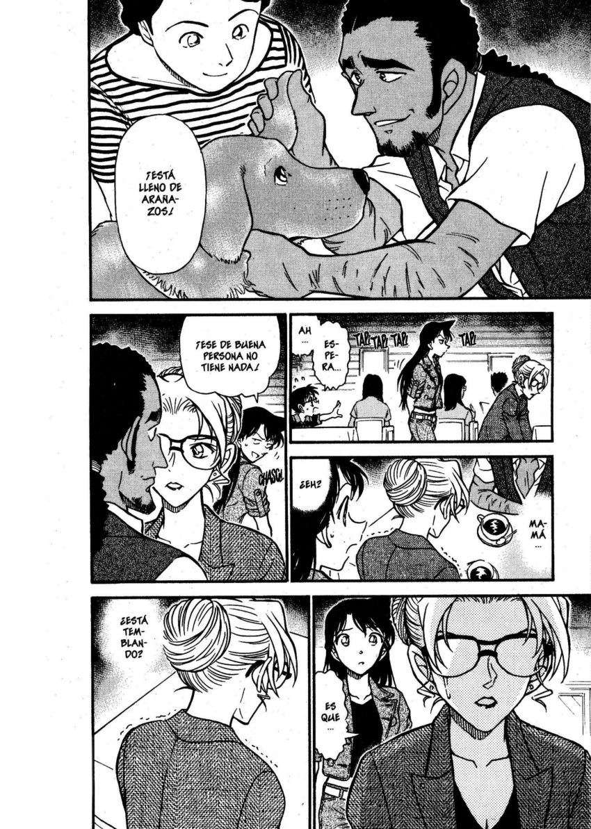 Detective Conan Capítulo 574 - Página 13 en español