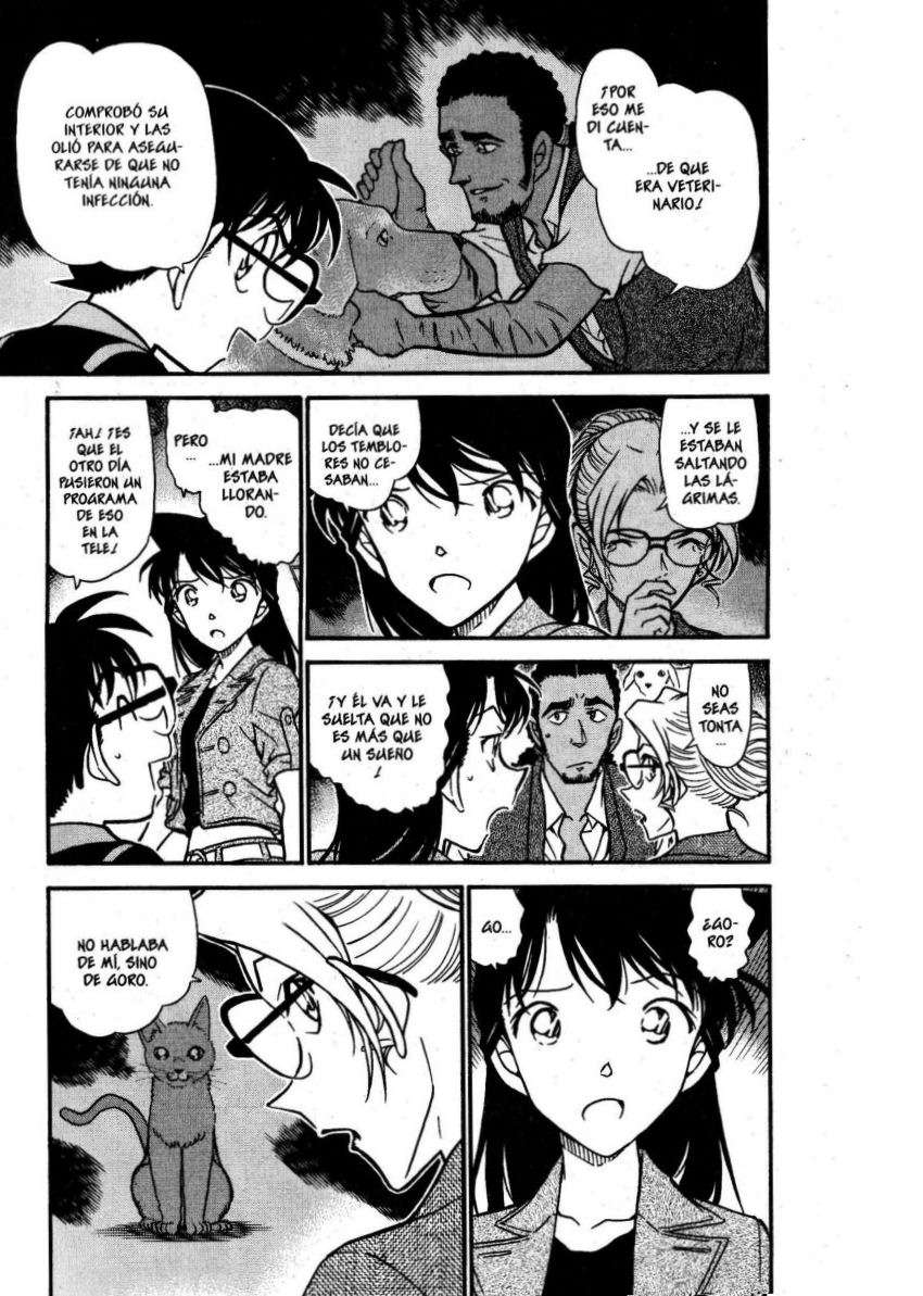 Detective Conan Capítulo 575 - Página 6 en español