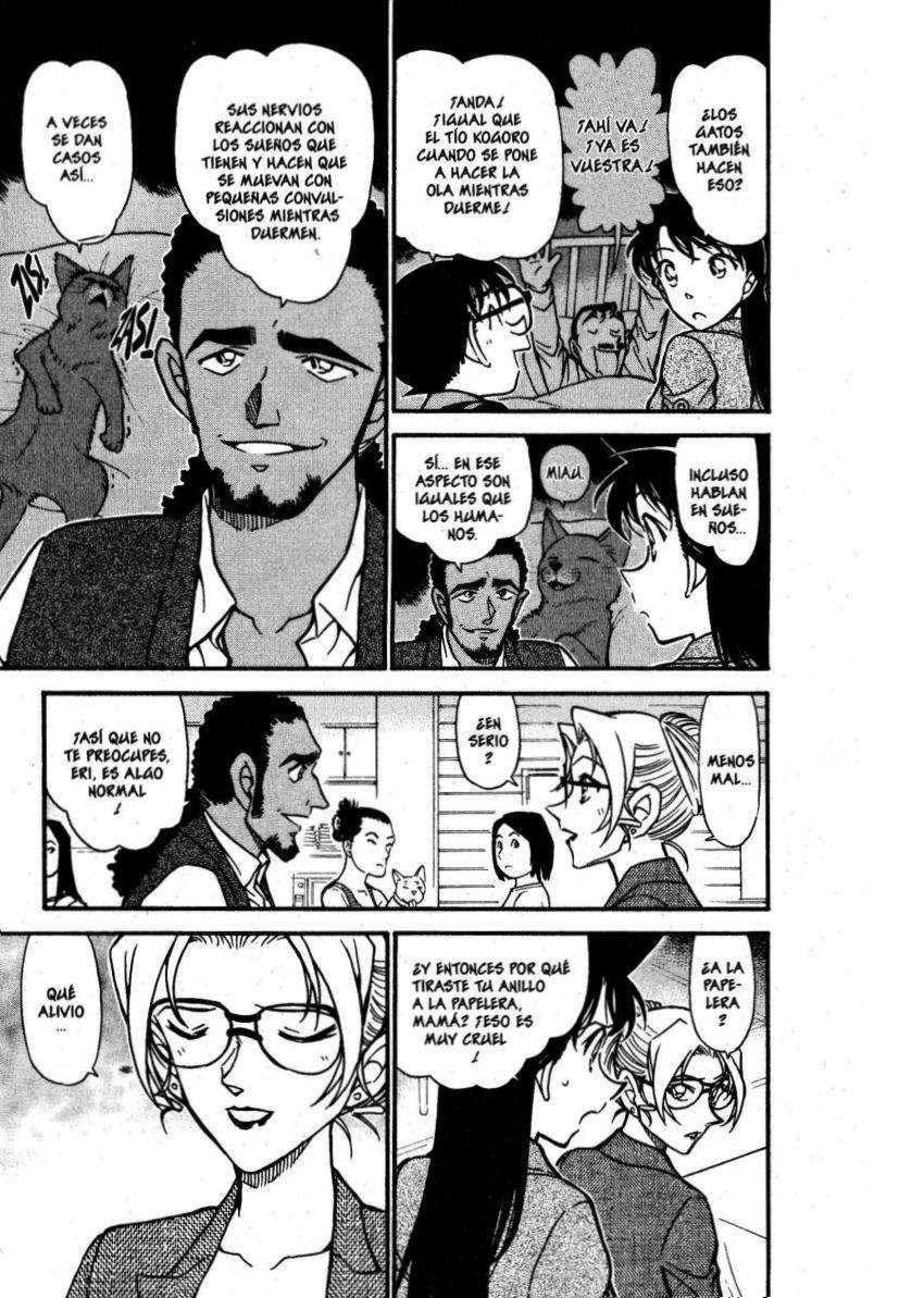 Detective Conan Capítulo 575 - Página 8 en español