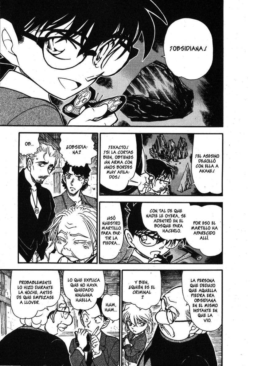 Detective Conan Capítulo 581 - Página 10 en español