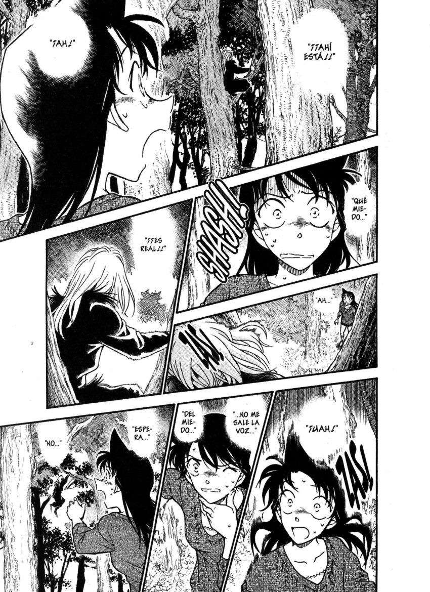 Detective Conan Capítulo 649 - Página 14 en español