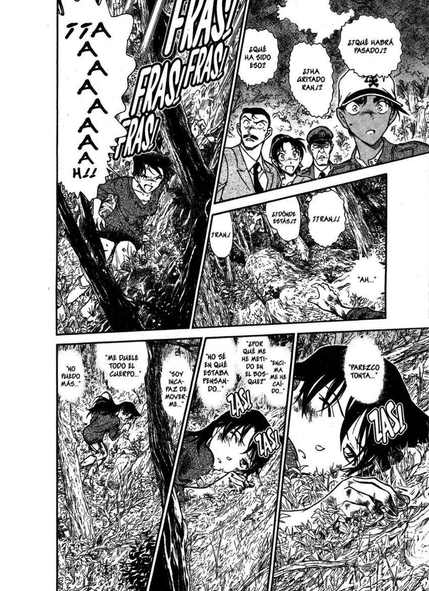 Detective Conan Capítulo 649 - Página 15 en español