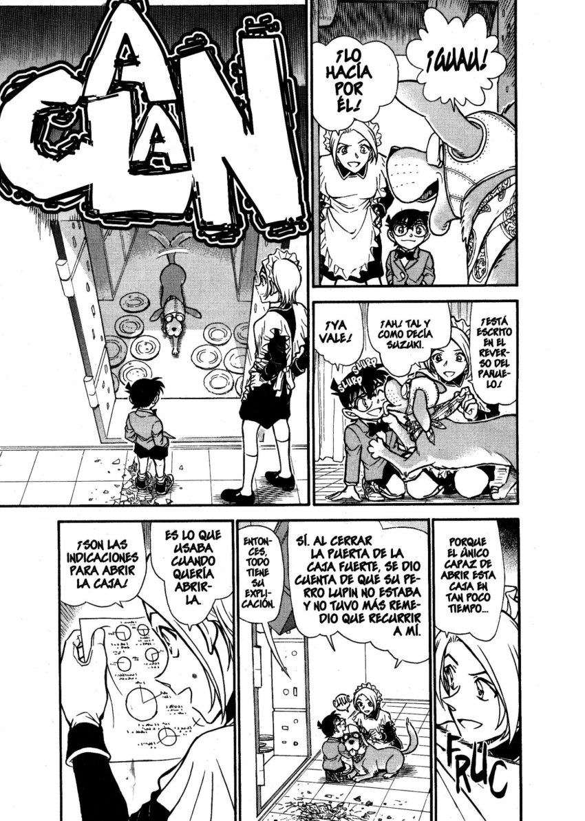 Detective Conan Capítulo 676 - Página 14 en español