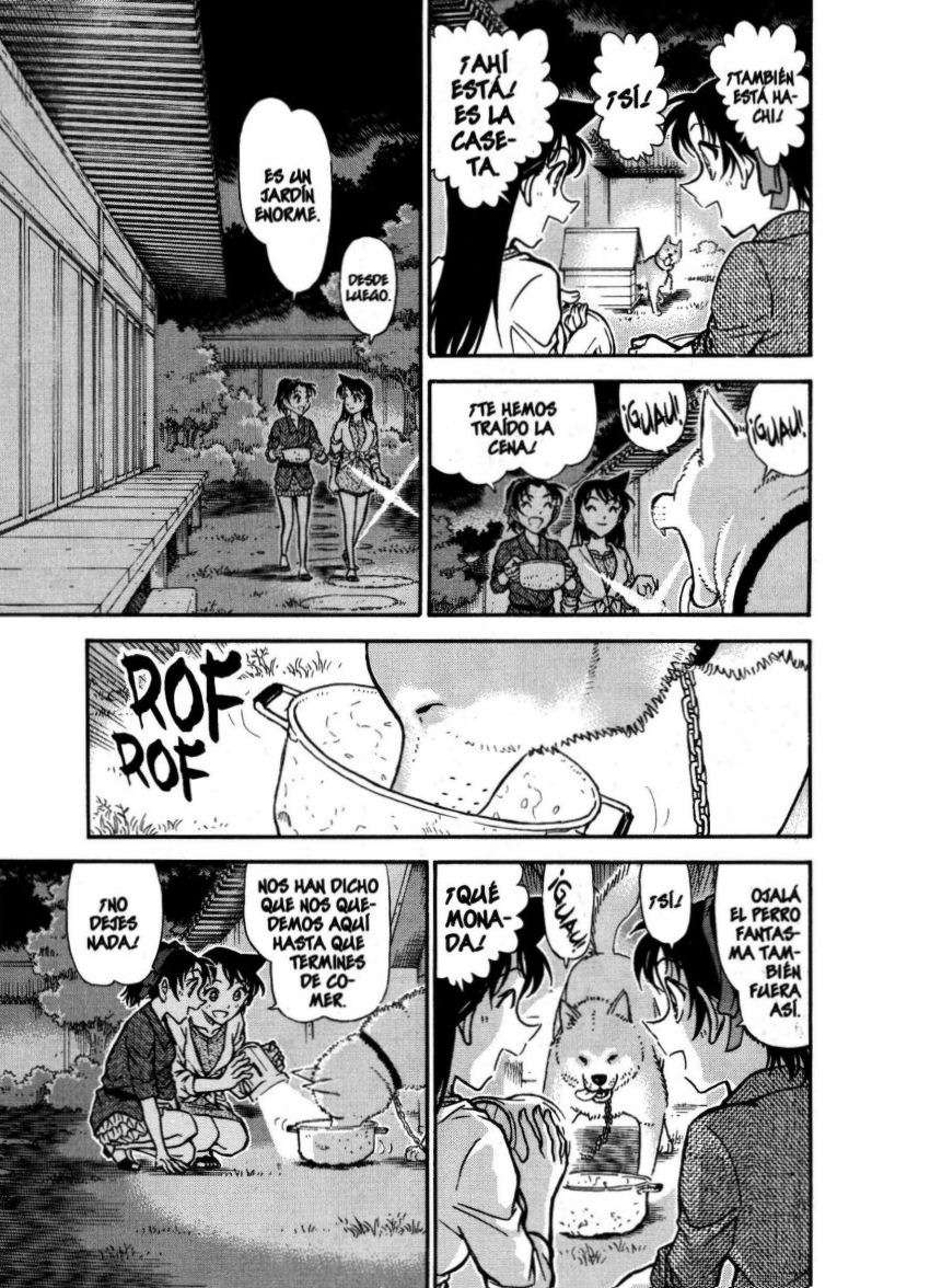 Detective Conan Capítulo 737 - Página 14 en español