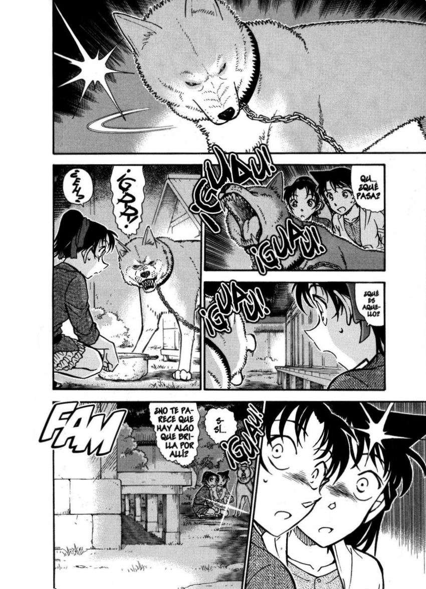 Detective Conan Capítulo 737 - Página 15 en español
