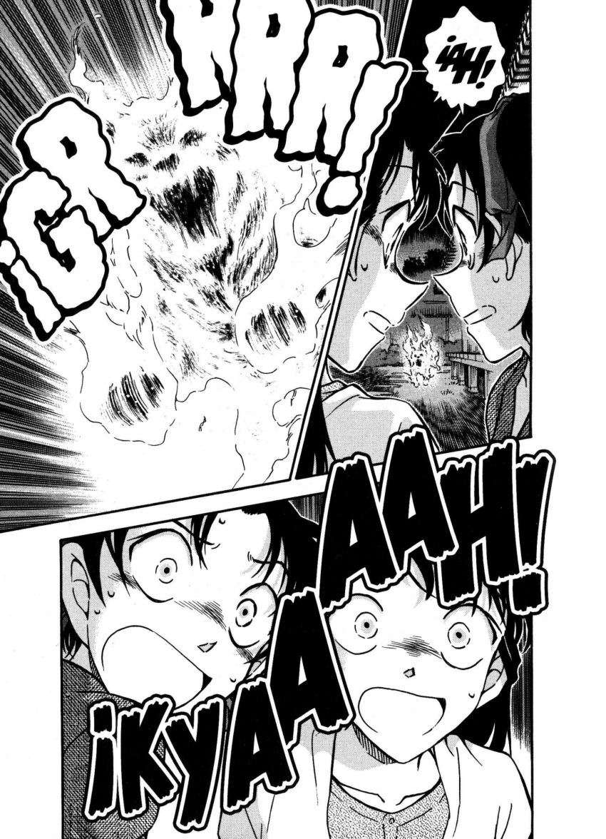 Detective Conan Capítulo 737 - Página 16 en español