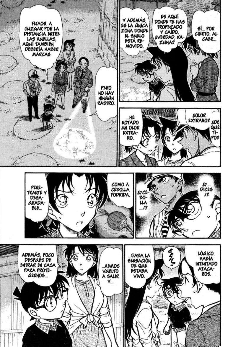 Detective Conan Capítulo 738 - Página 8 en español