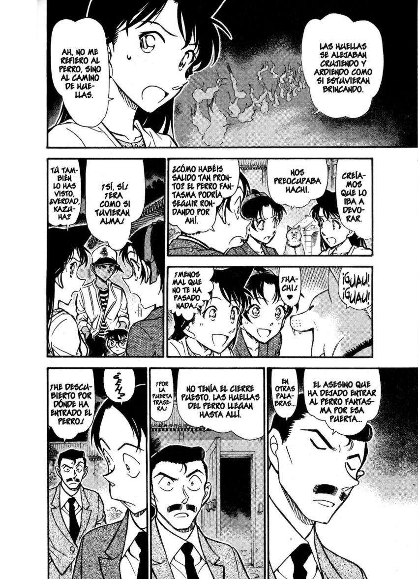 Detective Conan Capítulo 738 - Página 9 en español