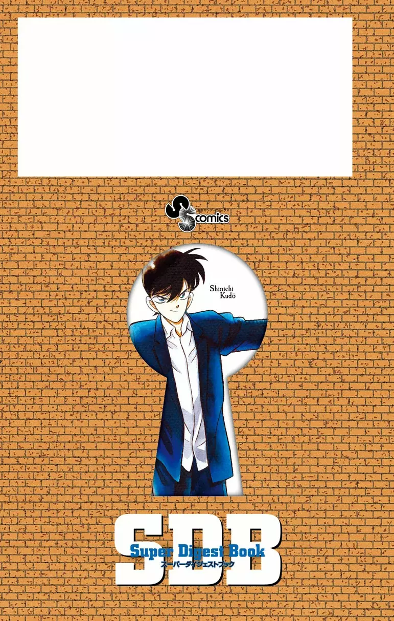 Detective Conan Capítulo 740.5 - Página 13 en español