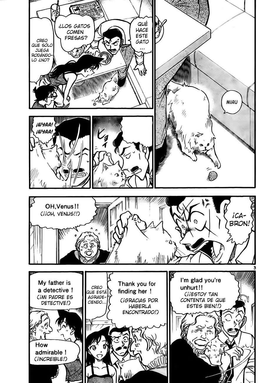 Detective Conan Capítulo 743 - Página 3 en español
