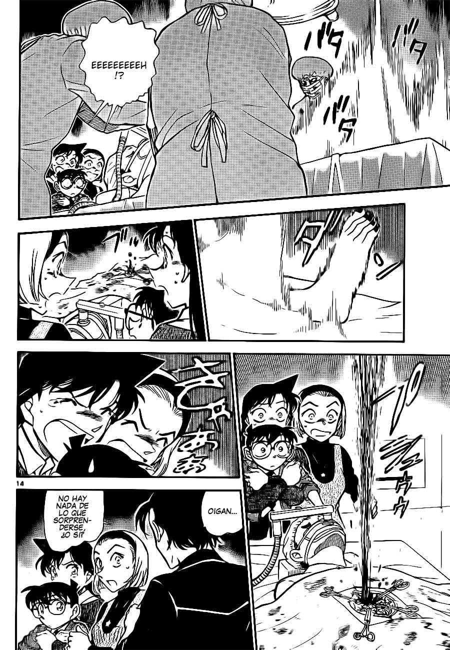 Detective Conan Capítulo 756 - Página 14 en español
