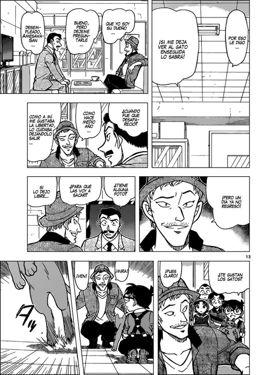 Detective Conan Capítulo 865 - Página 14 en español