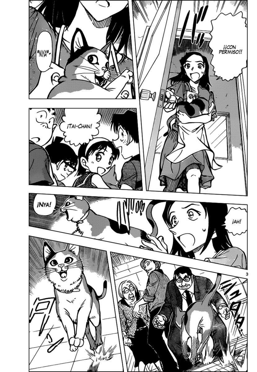 Detective Conan Capítulo 866 - Página 4 en español