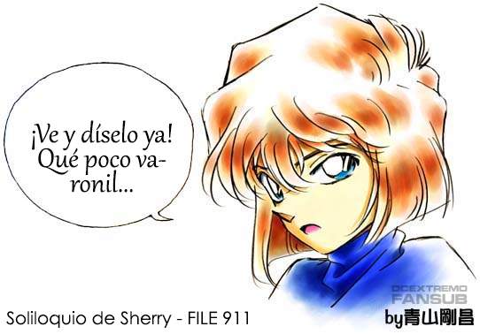 Detective Conan Capítulo 911 - Página 18 en español