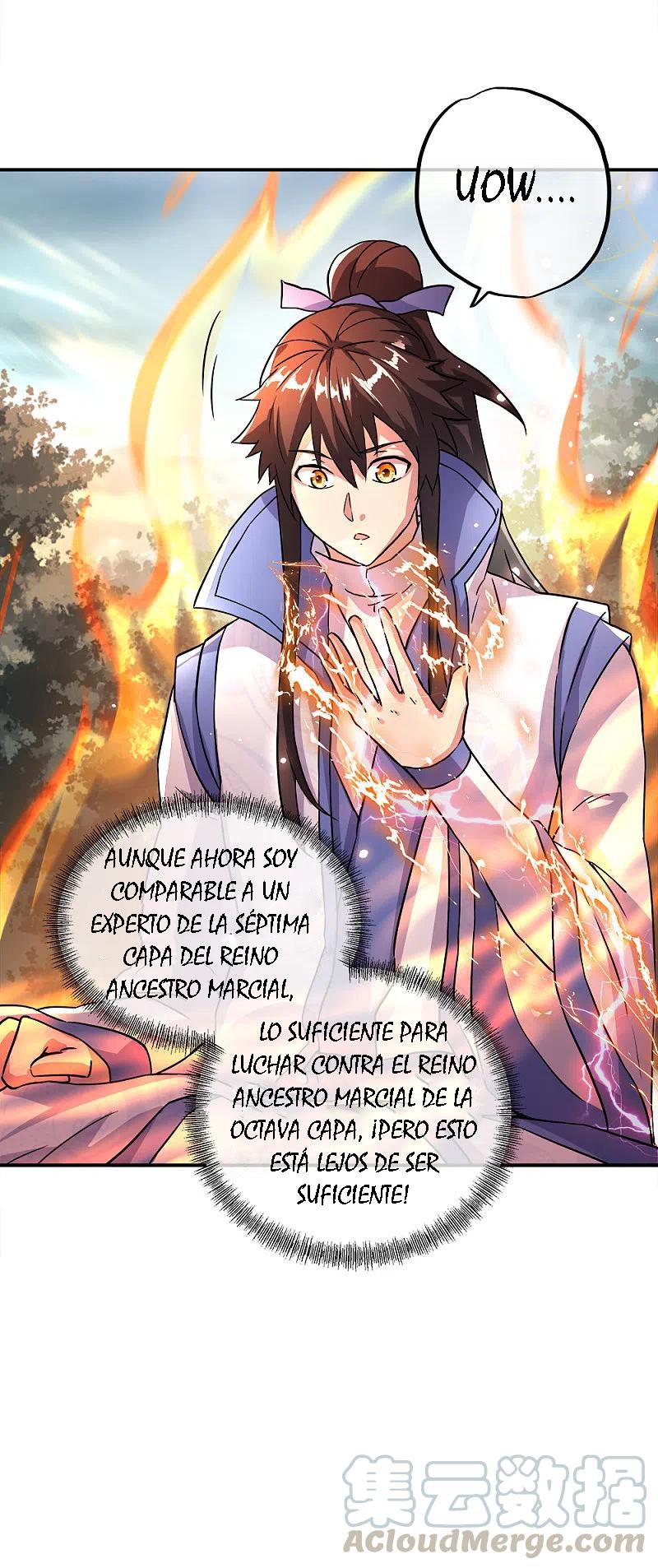 Peerless Battle Spirit Capítulo 296 - Página 24 en español