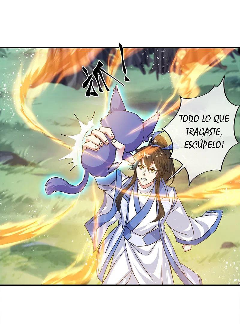 Peerless Battle Spirit Capítulo 300 - Página 43 en español