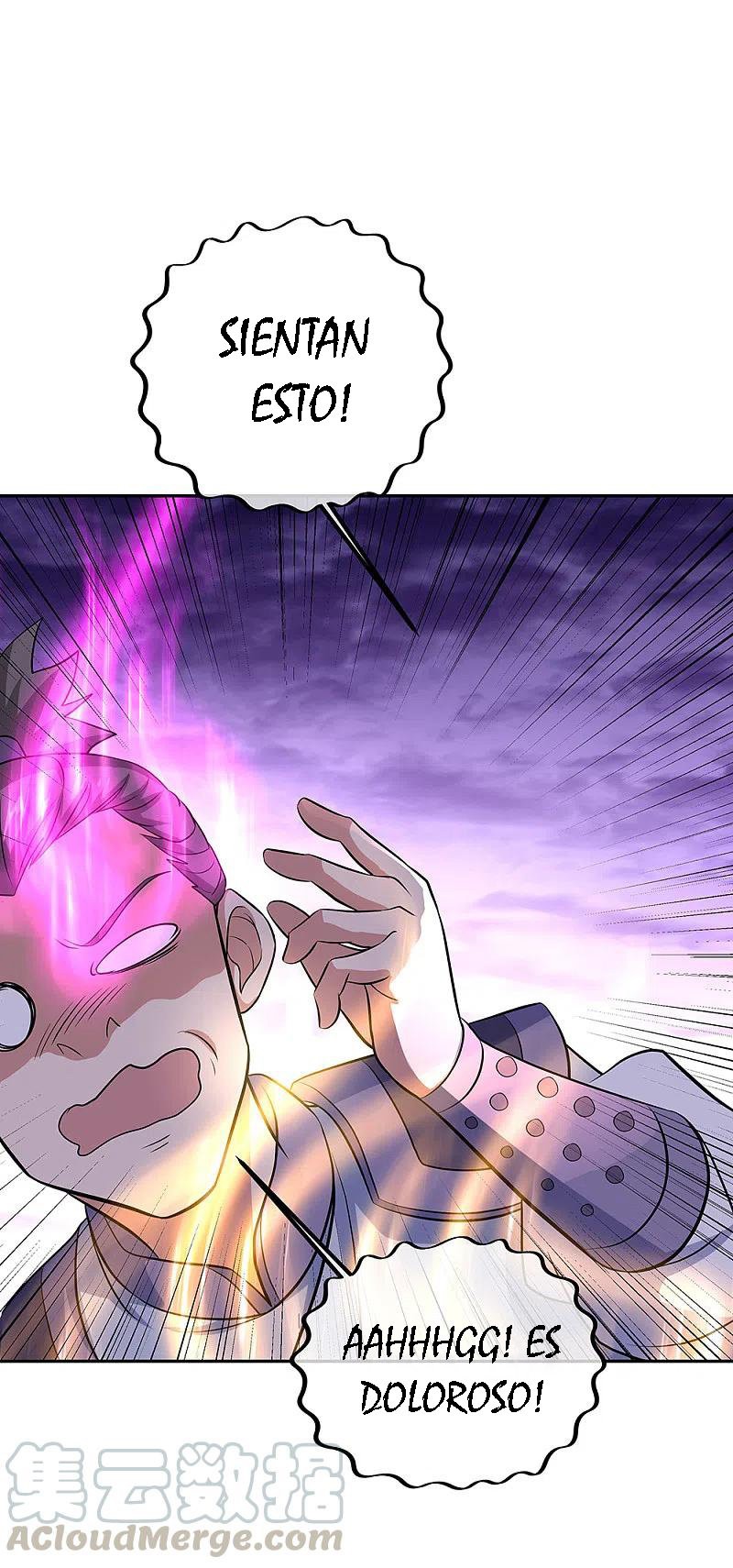 Peerless Battle Spirit Capítulo 312 - Página 41 en español