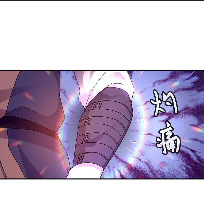 Peerless Battle Spirit Capítulo 338 - Página 6 en español