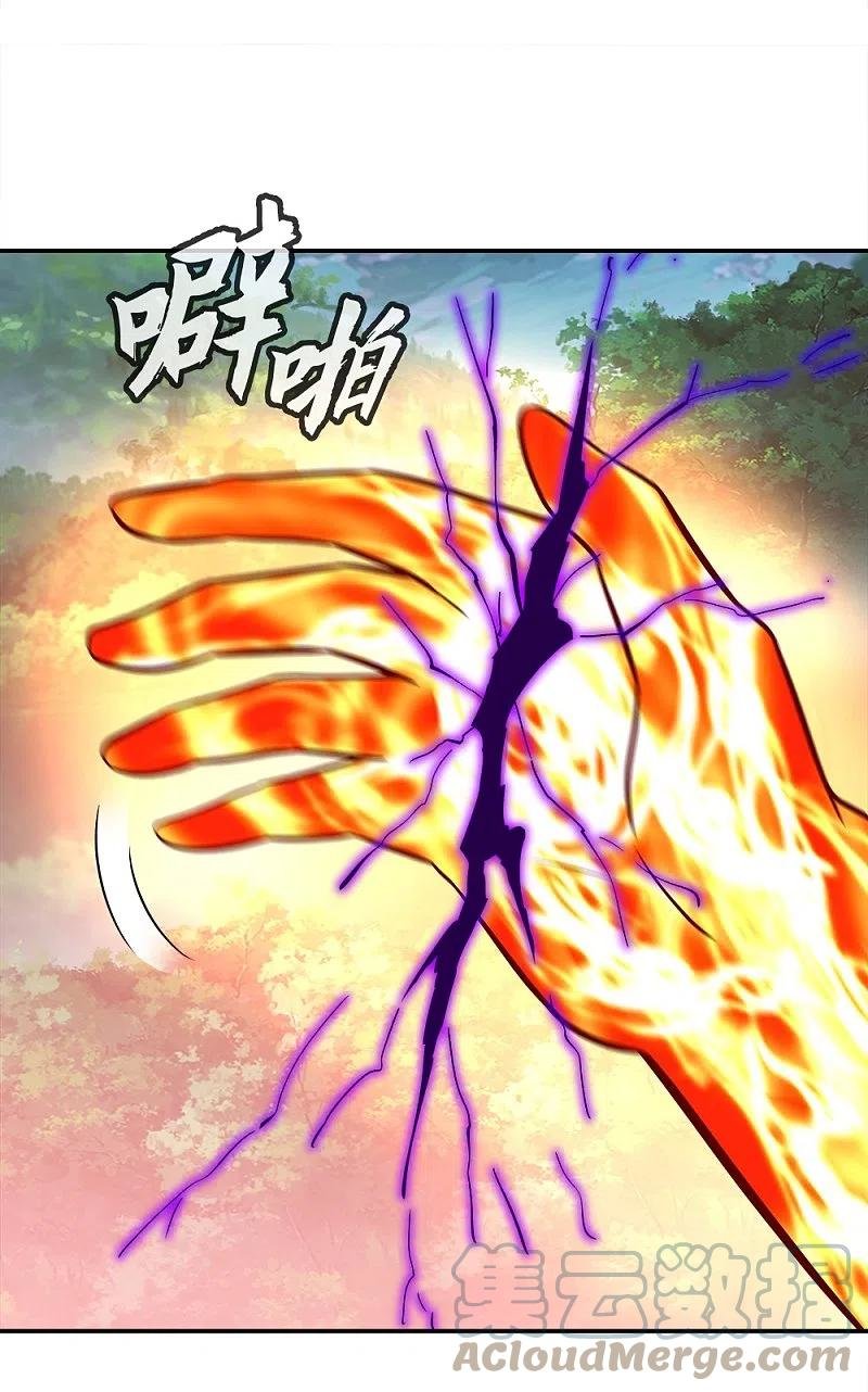 Peerless Battle Spirit Capítulo 343 - Página 49 en español